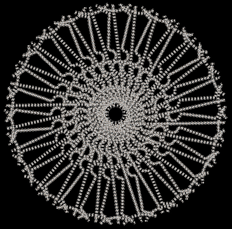 Pearl_Mandala.jpg