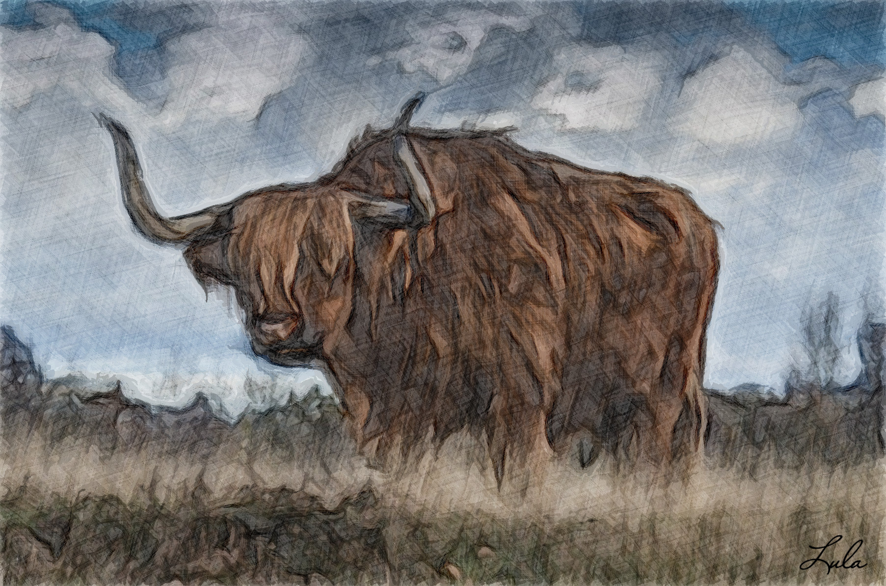highlandcow_jvidEffectH.jpg