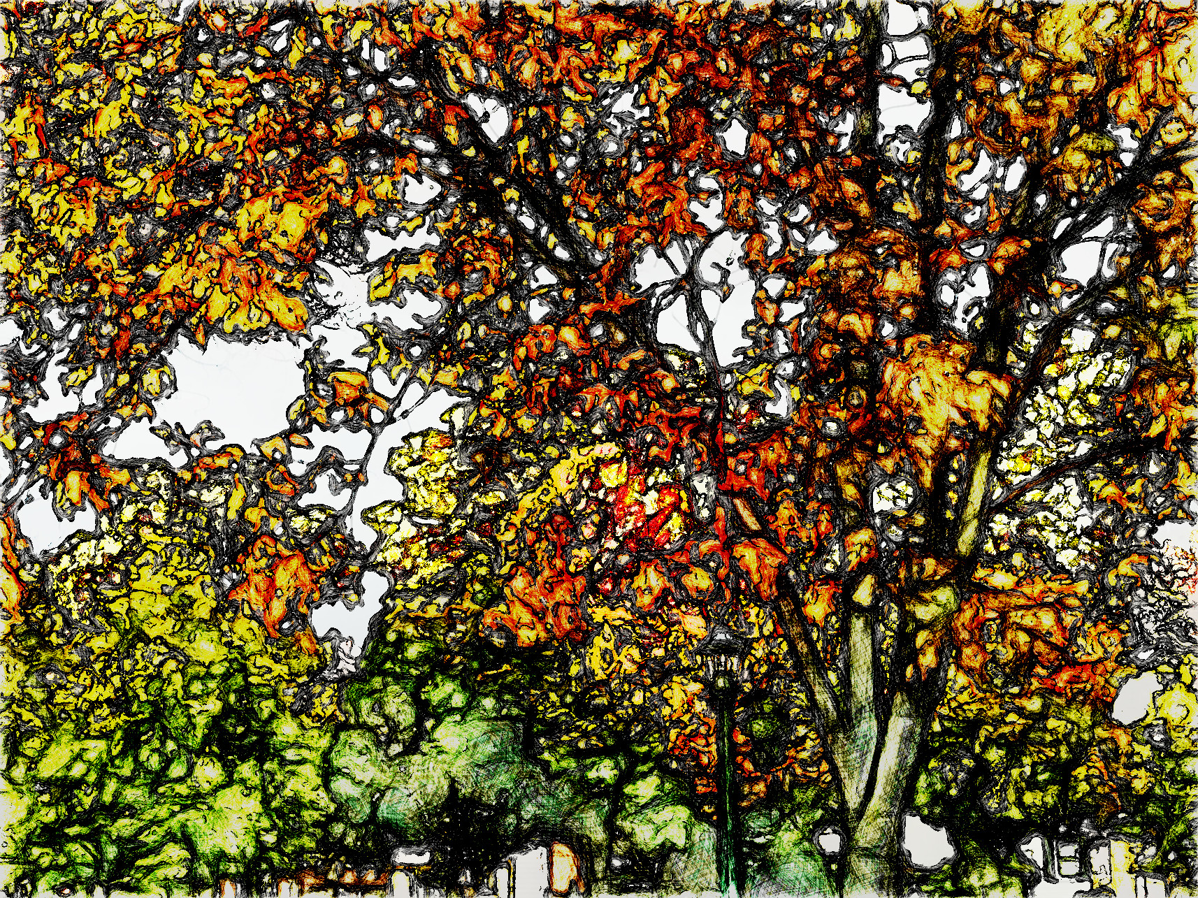 4c2491b18253221fbc13da82538dfd0b_Rough.jpg