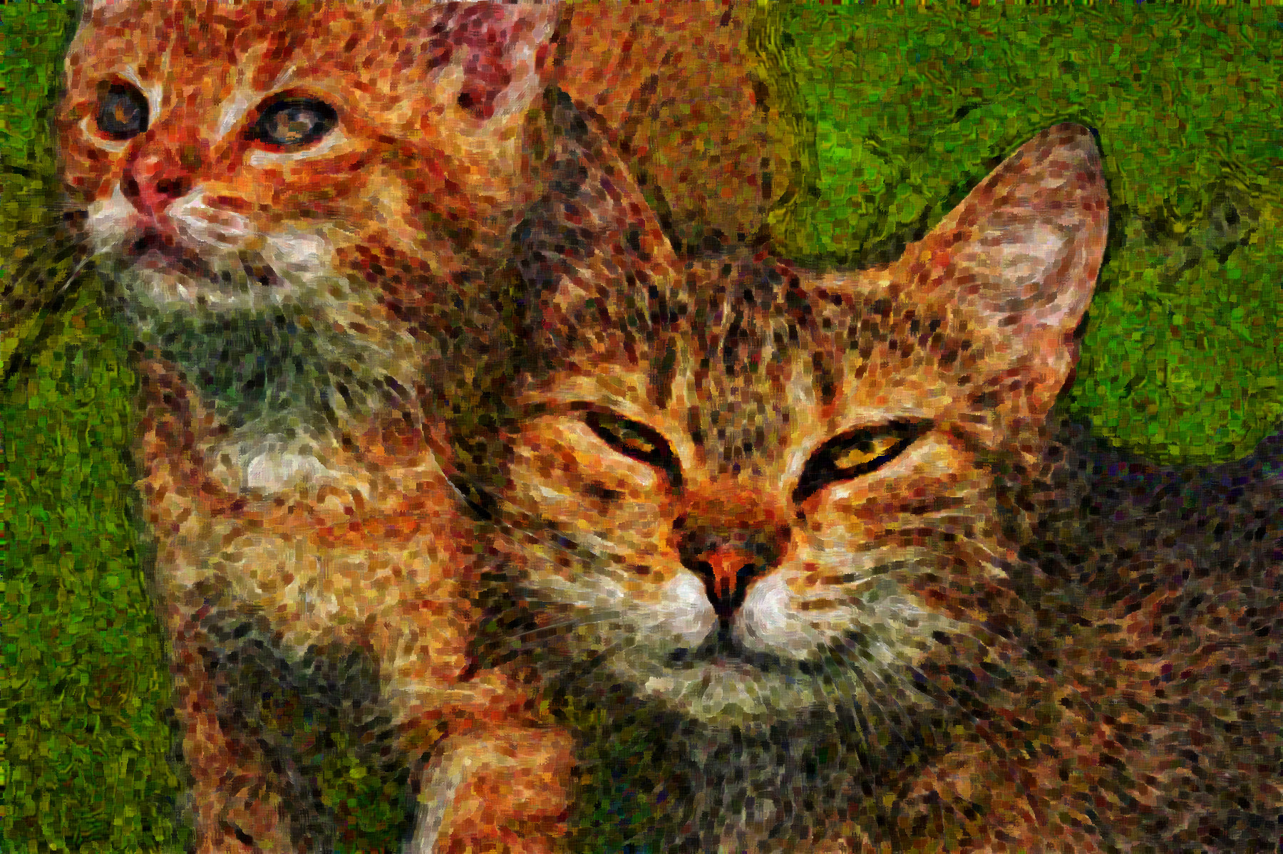 kitten-6479019_Graphic_Effect_Jvid_k.jpg
