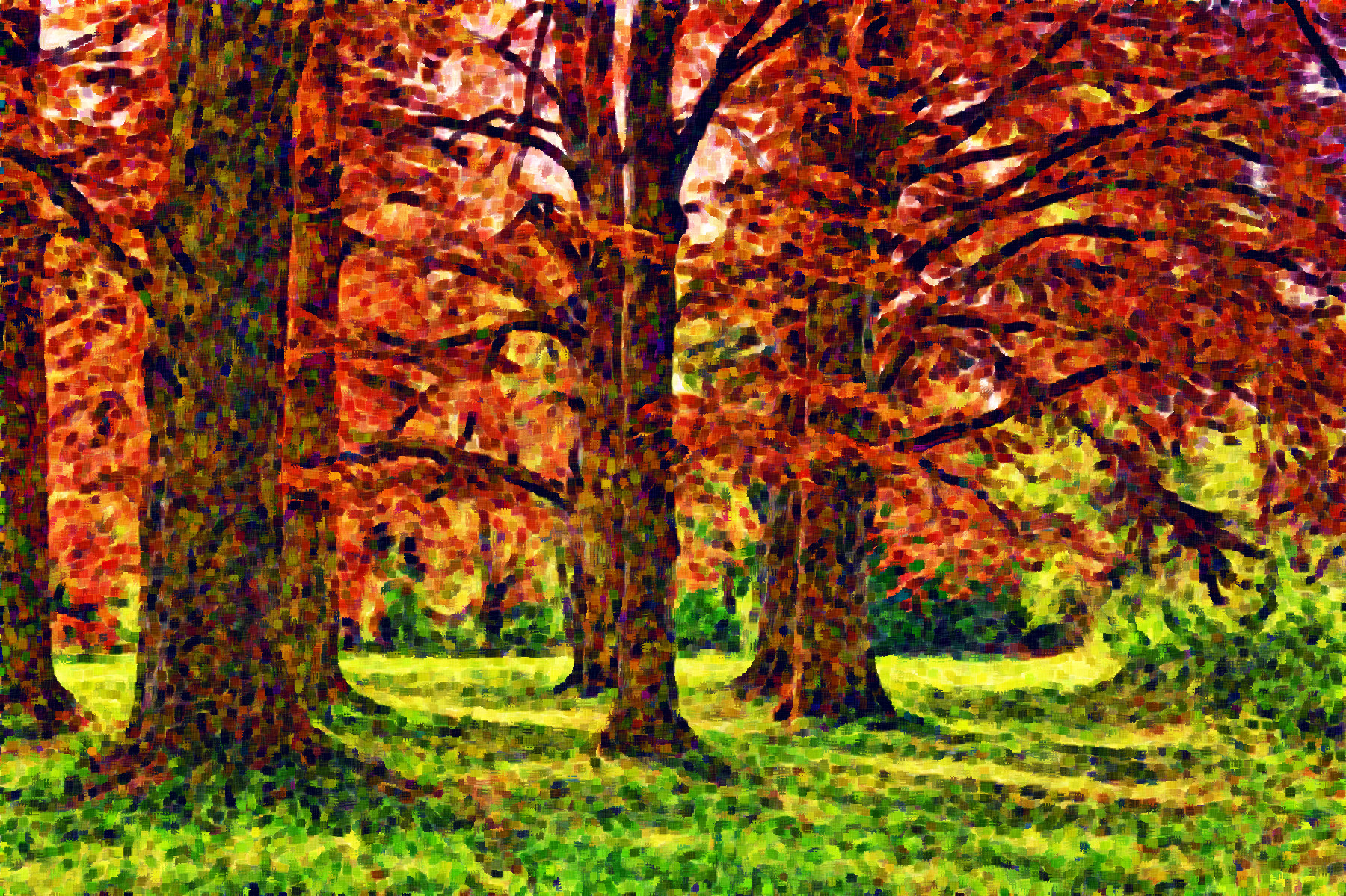 tree-3229512_Graphic_Effect_Jvid_K.jpg