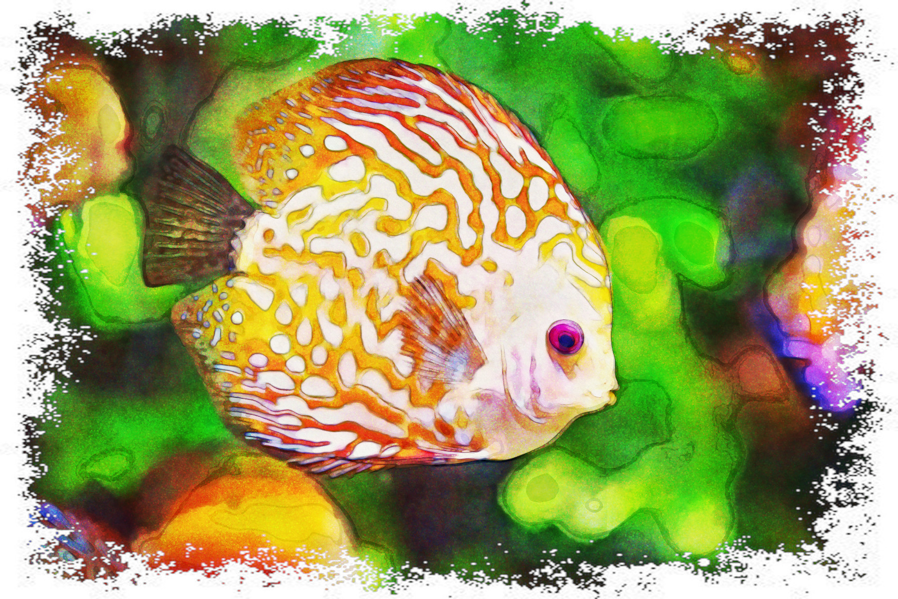 2021-08-07 09-55-20 discus-fish-1943755-1 with JVID effect LA (Watercolour Graphic Effect, NOT aged).jpg