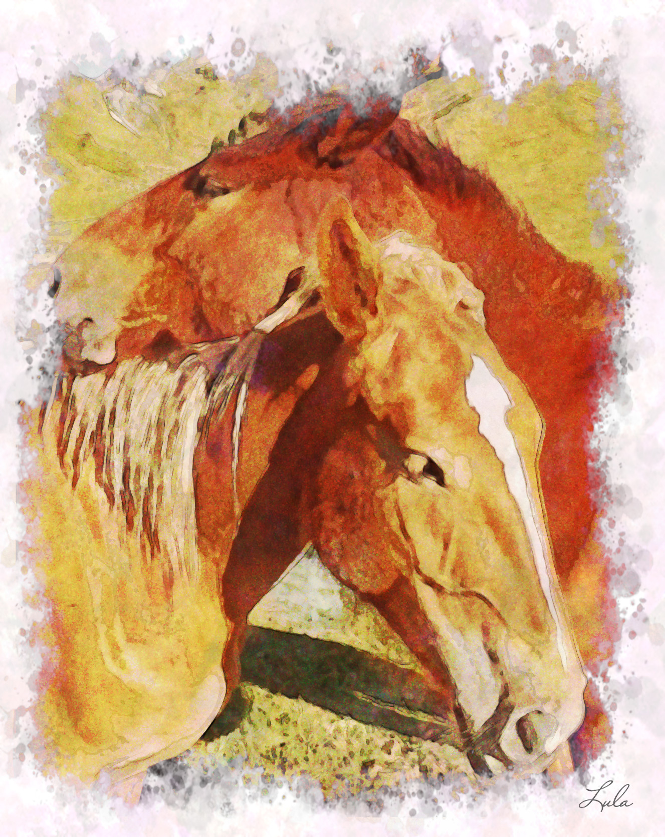 chevaux.jpg