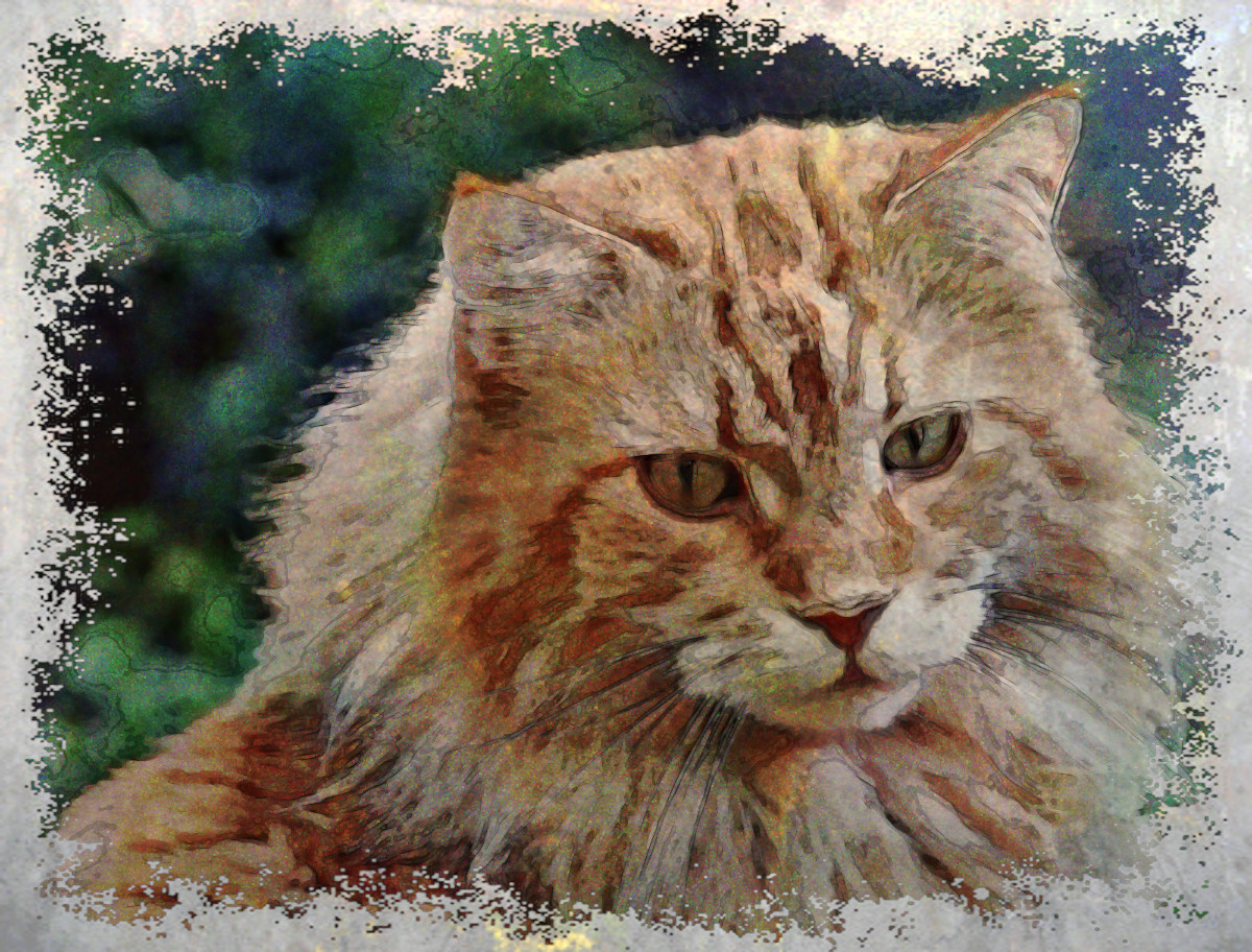 Watercolor.Jvid.LA.Cat.01.jpg