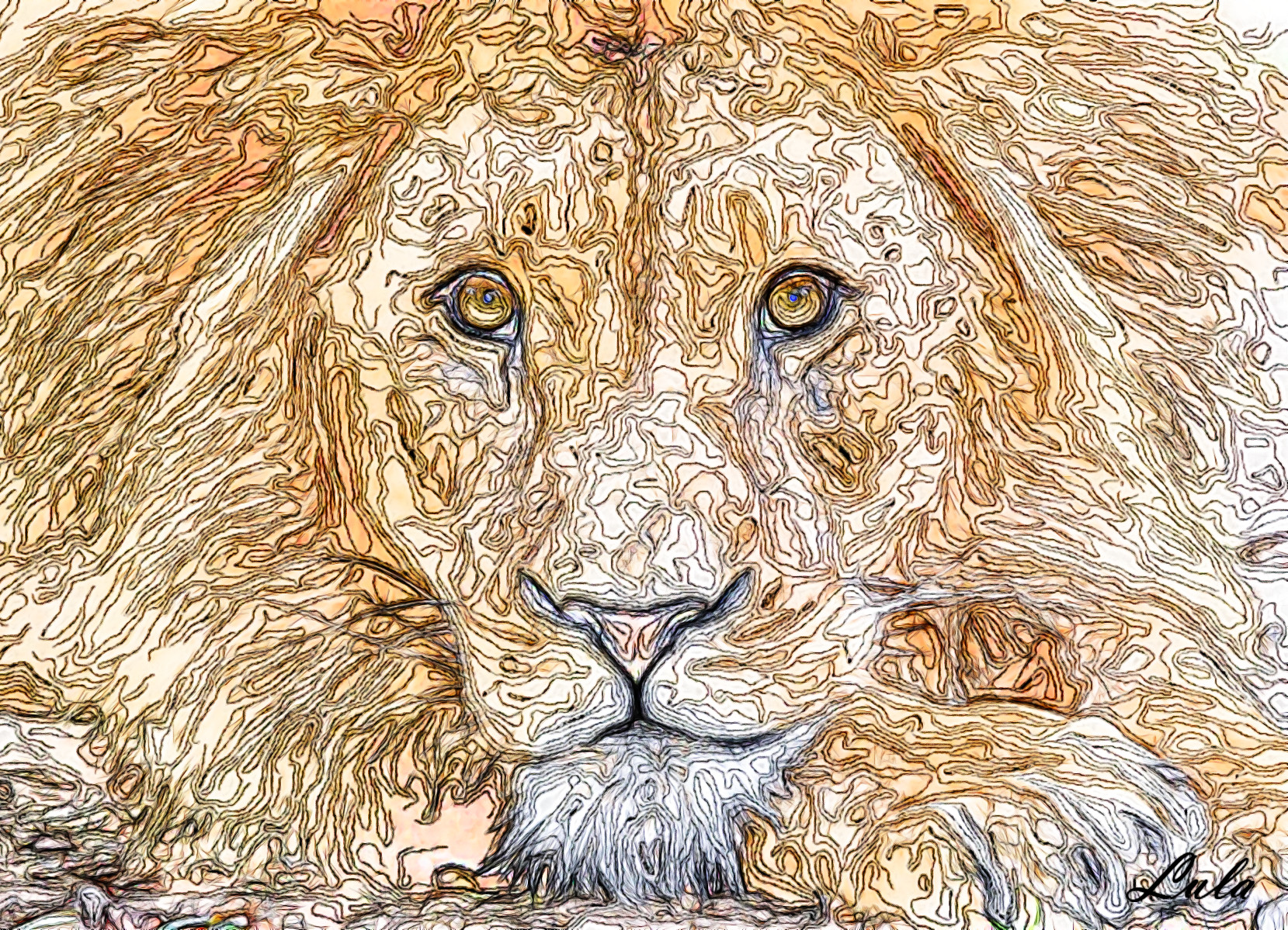 lionPixabay_JVID_M.jpg