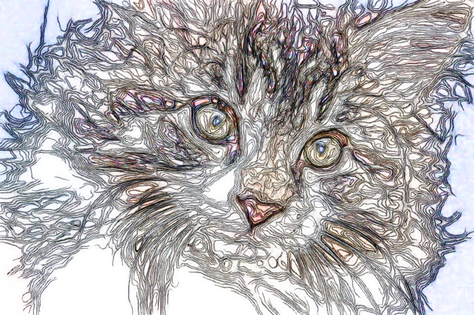 animals-3687796_GraphicEffect_Jvid_M.jpg