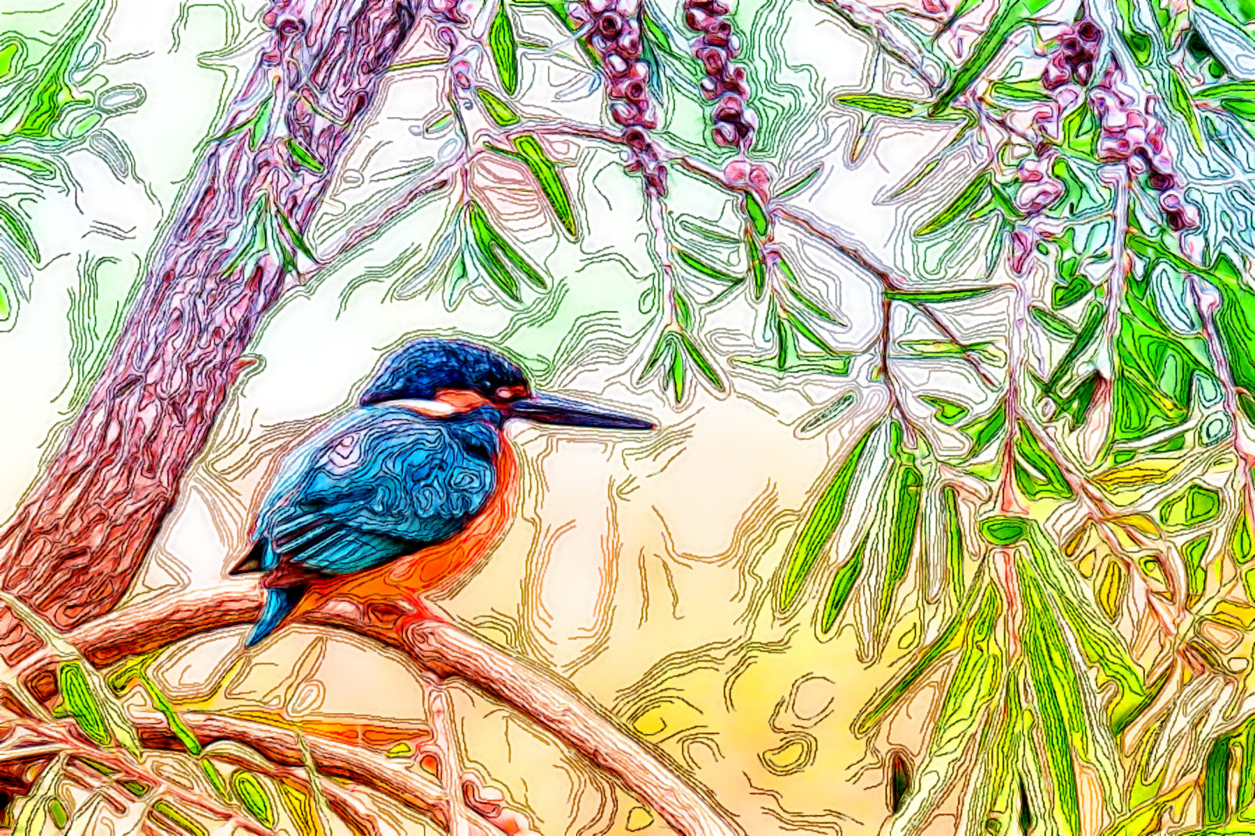 kingfisher-3159334_Doodle_Draw_Graphic_Effect_Jvid_M.jpg