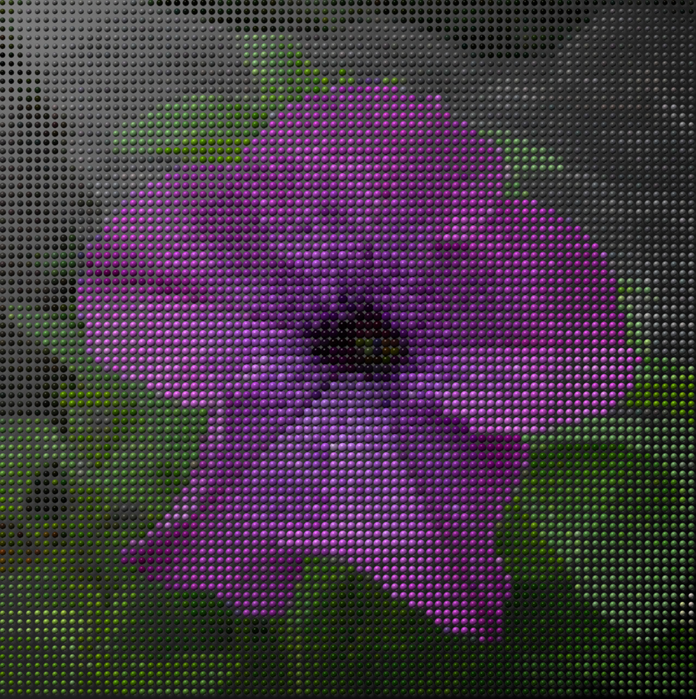 L10000408g.jpg