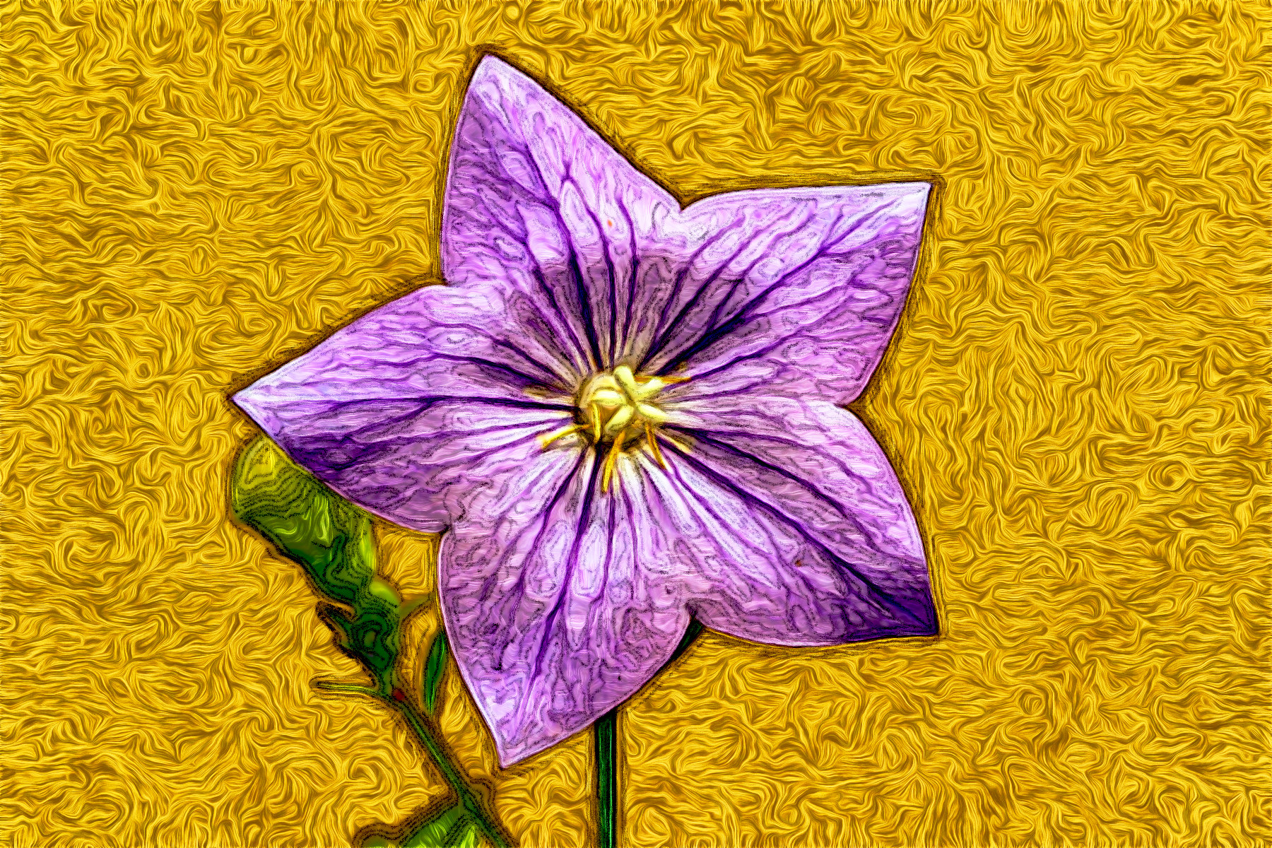 BellFlower-6532224_BarbAfter_JVID_MD.jpg