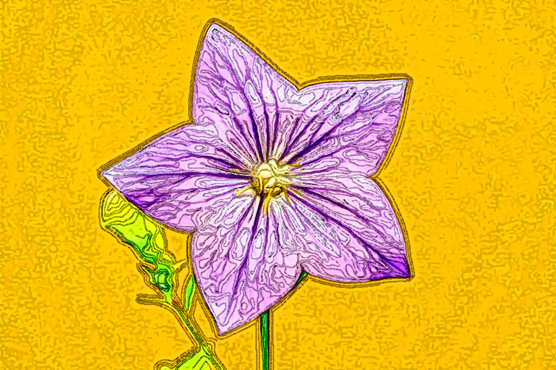 BellFlower-6532224_BarbNone_JVID_MD.jpg