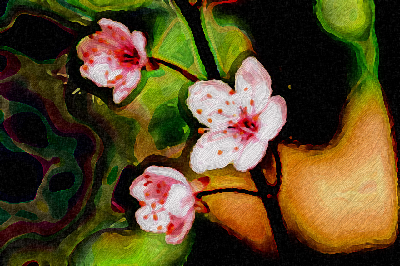 zierpflaume-6144845_Graphic_Effect_Tut_N.jpg