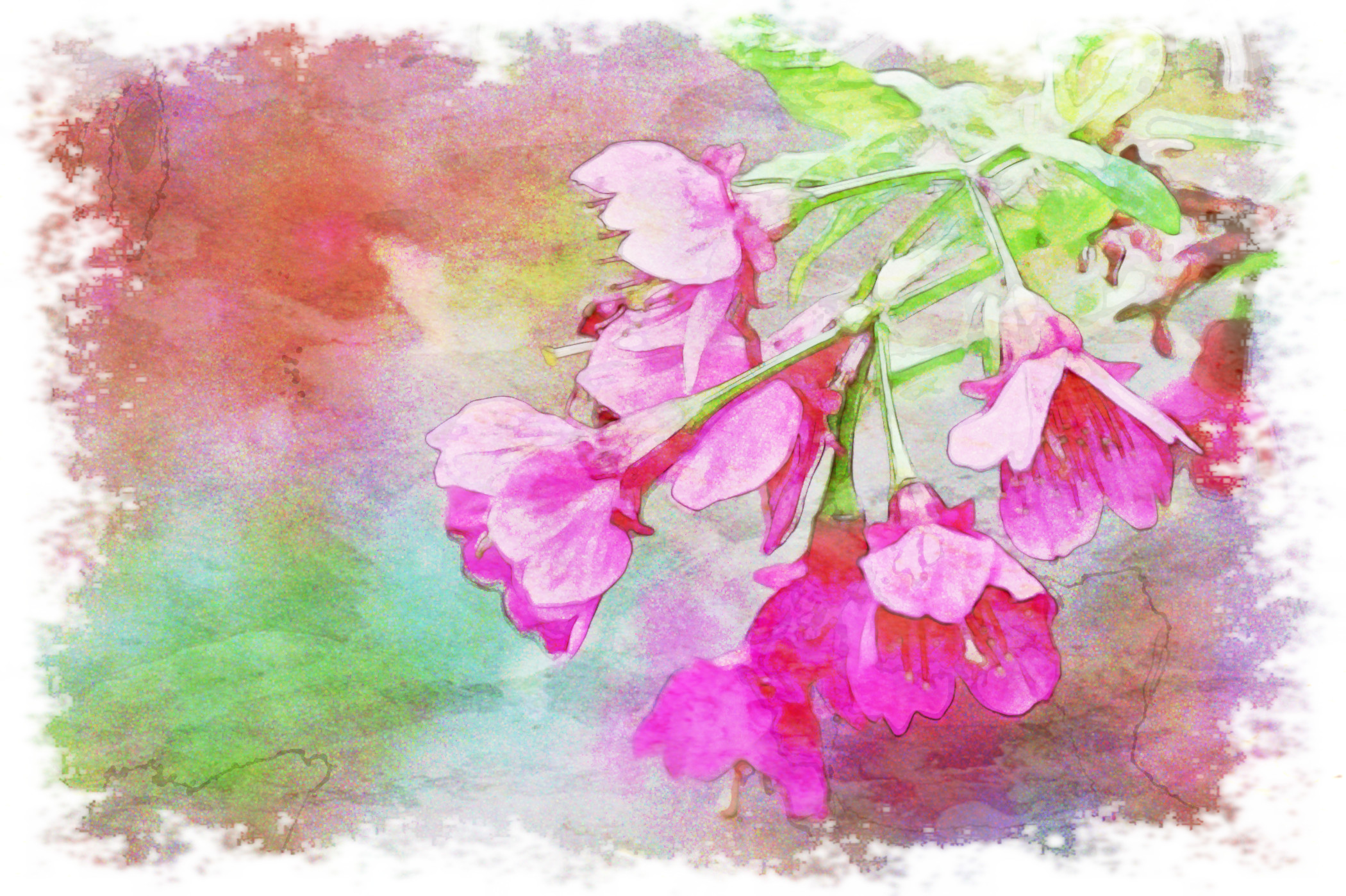 sakura-4093793_Watercolour_Jvid_LA.jpg