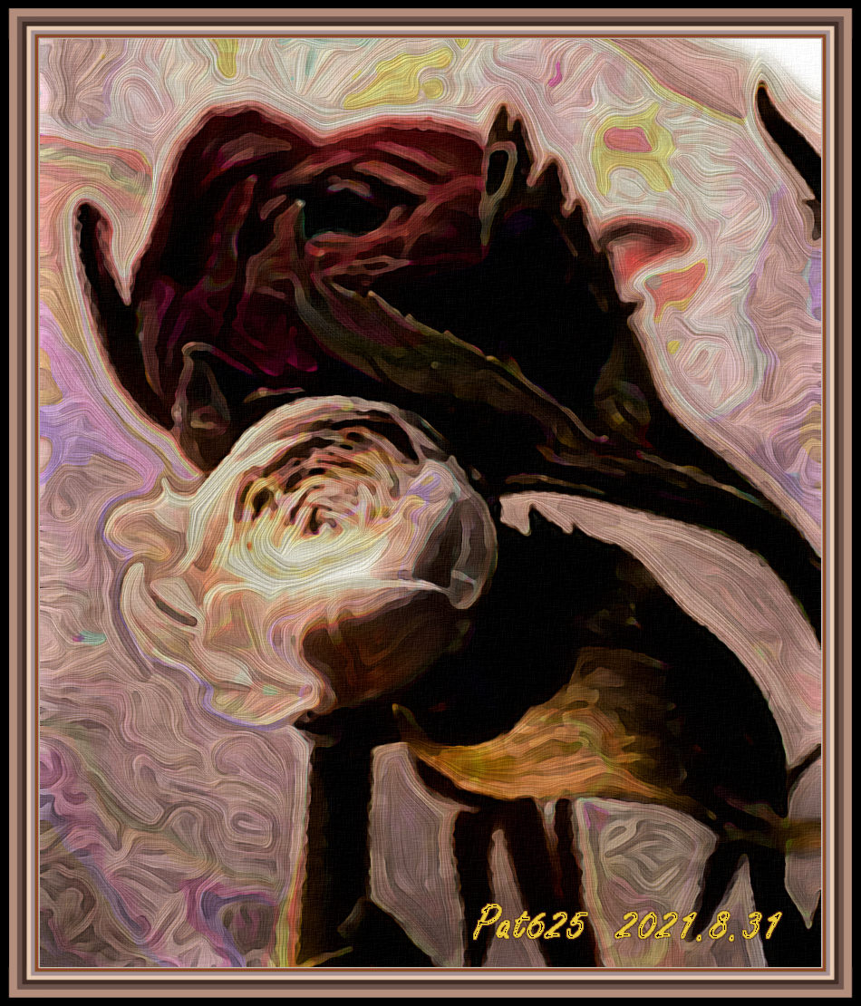 JVID_N Flower.jpg