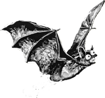Untitled_000001.png