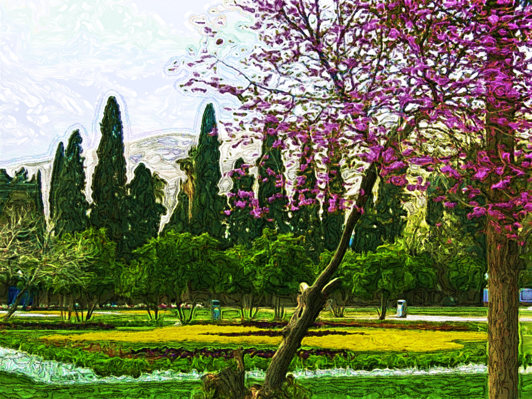 spring-1401104-Jvid_MG.jpg