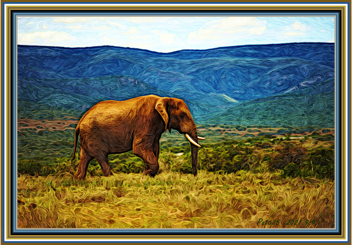 Jvid_MG_Doodle Effect.Elephant.jpg