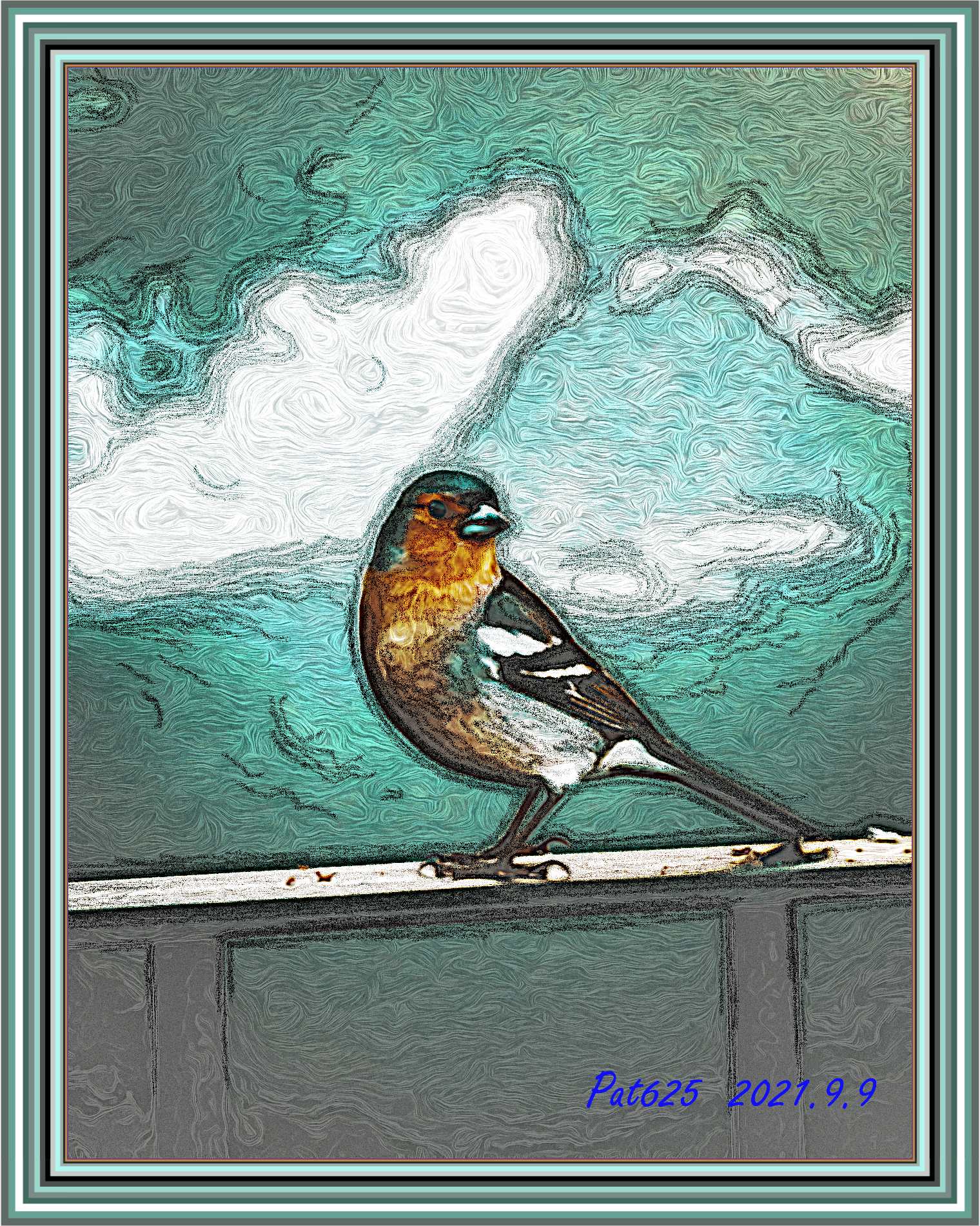 Jvid_MG_Doodle Effect.Bird.jpg