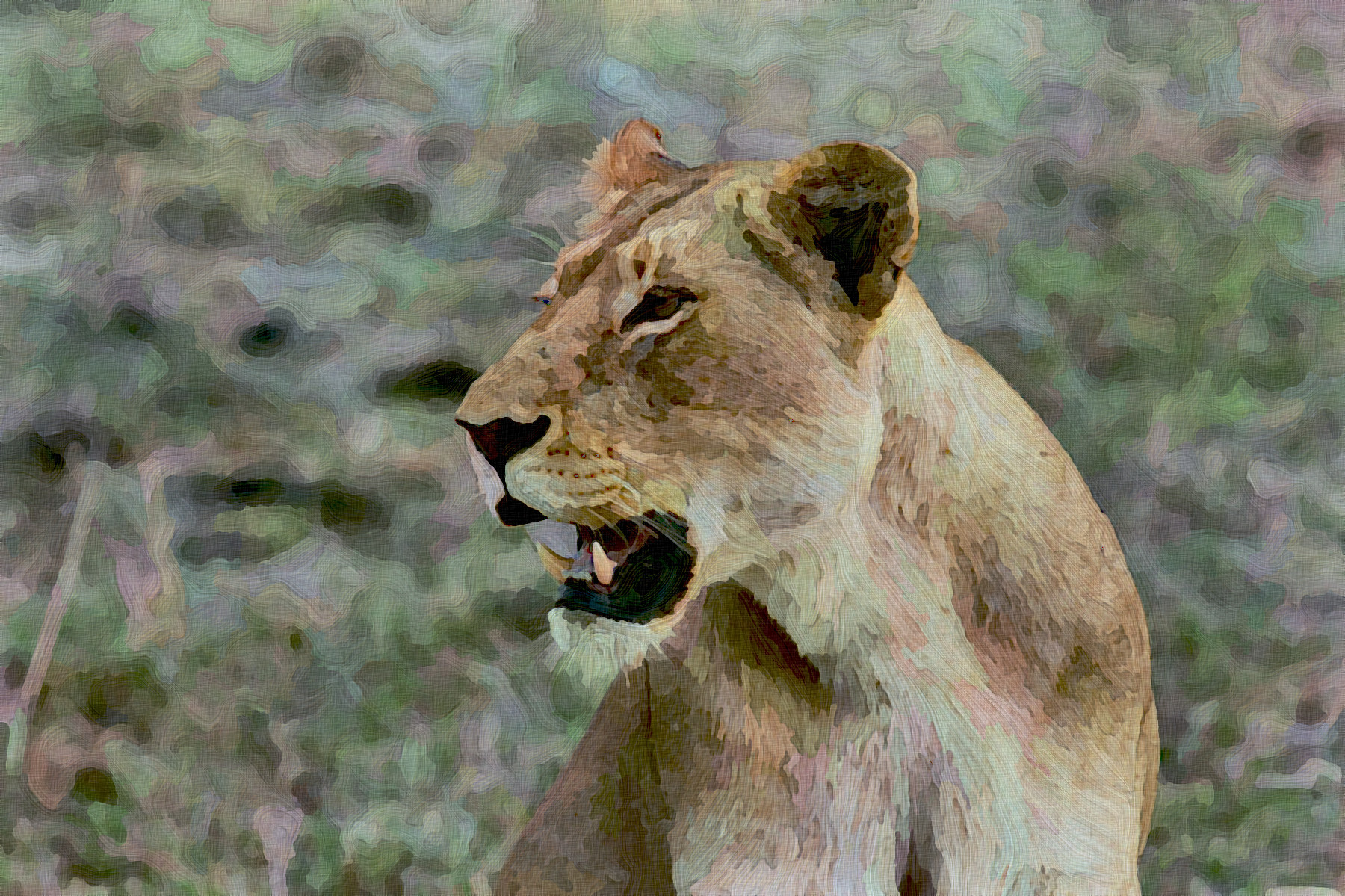 lioness-1149950_GraphicEffect_Jvid_PA.jpg