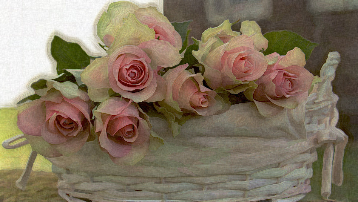 Jvid.PA.DN.Roses.01.jpg