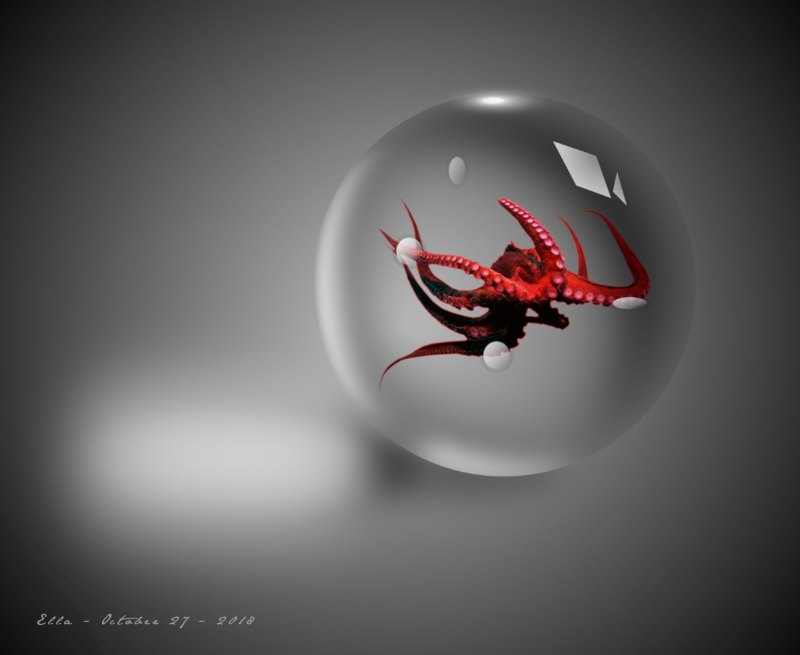 octopus_in_glass_sphere.png