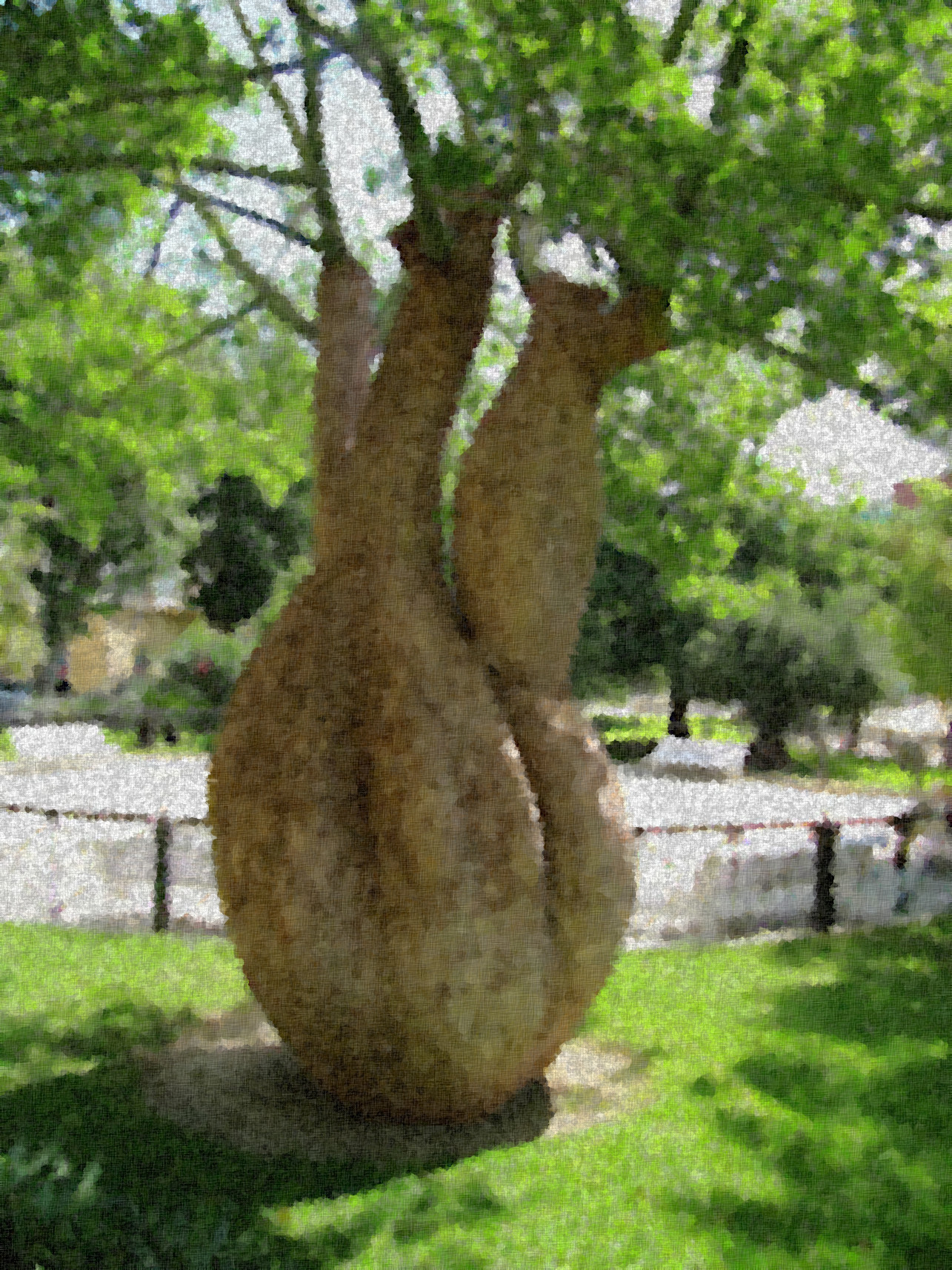 tree_Cadiz_Graphic_Effect_FakeSponge_Jvid_Q.jpeg