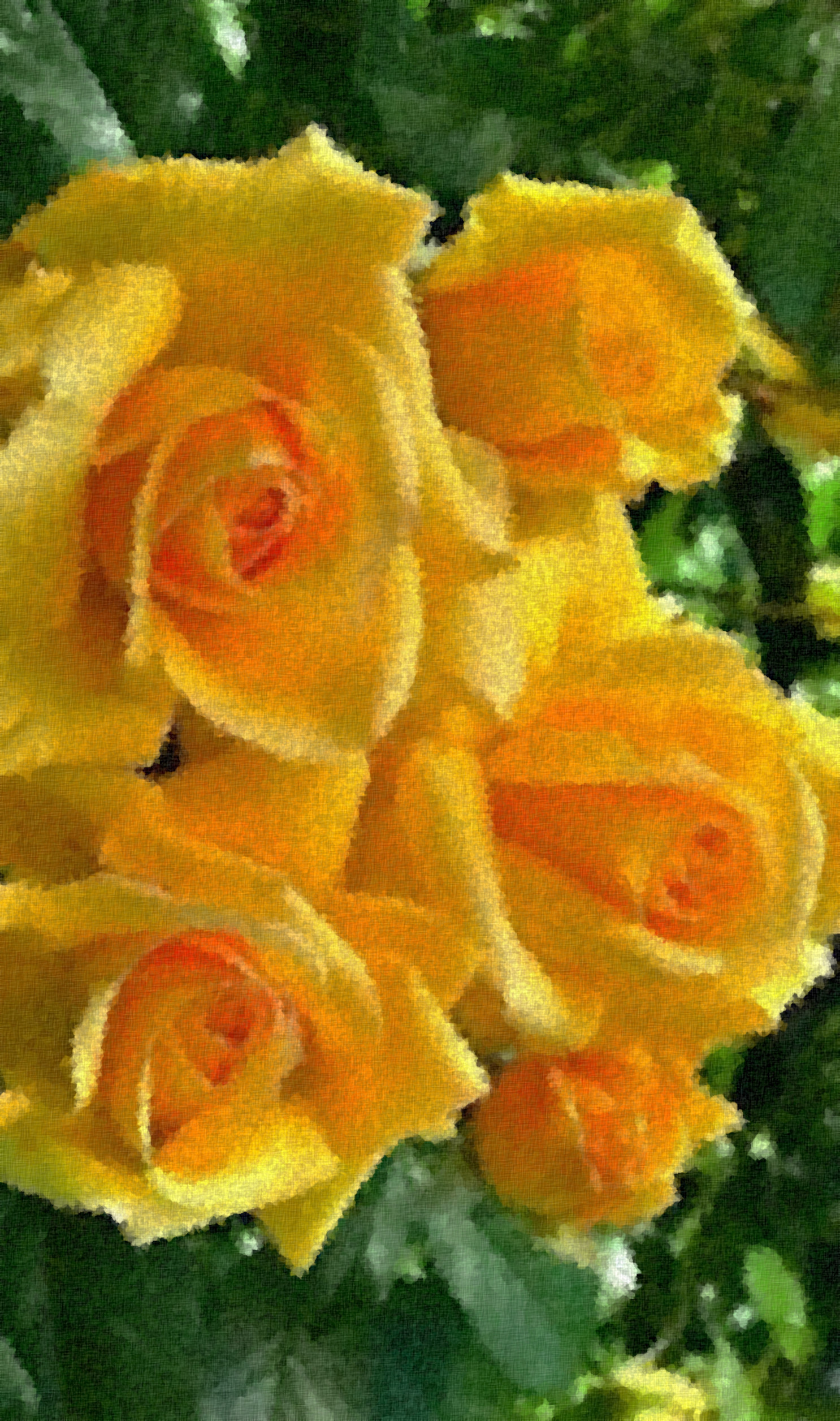 0c57766a69e97_Graphic_Fake_Sponge_Effect_Jvid_Q.jpg