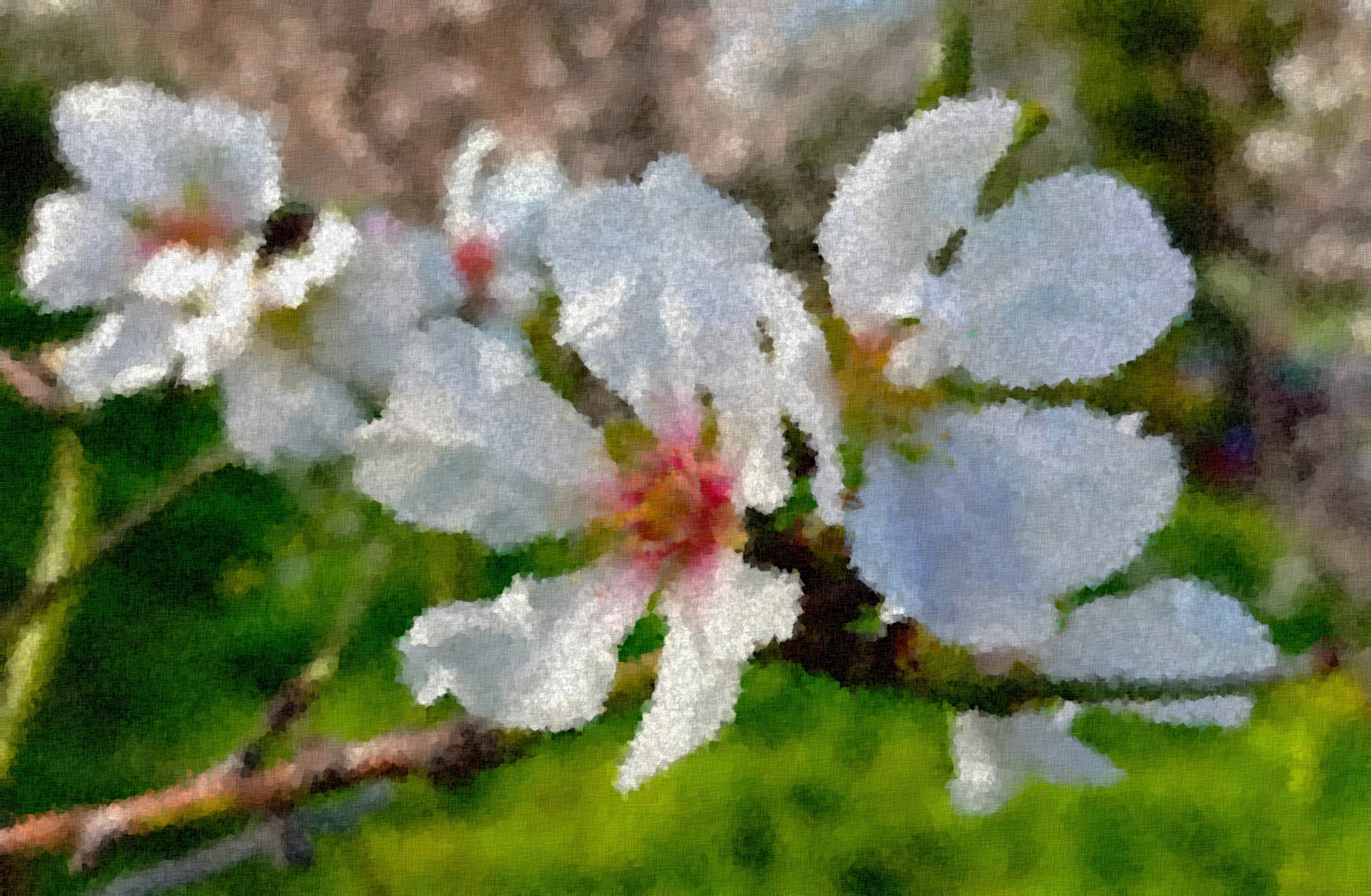 deejmed-aa26c69f_Graphic_Sponge_Effect_Jvid_Q.jpg