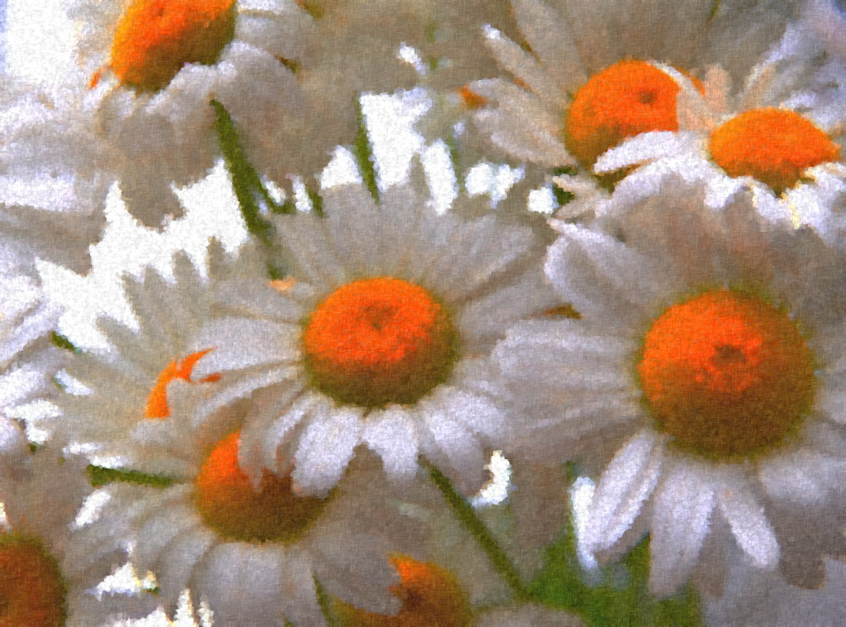 daisy-3067243_Graphic_Sponge_Effect_Jvid_Q.jpg