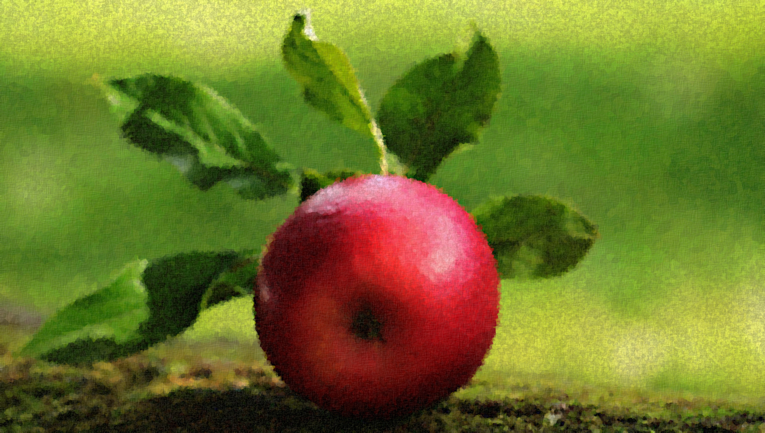 Apple_Graphic_Effect_Jvid_Q.jpg