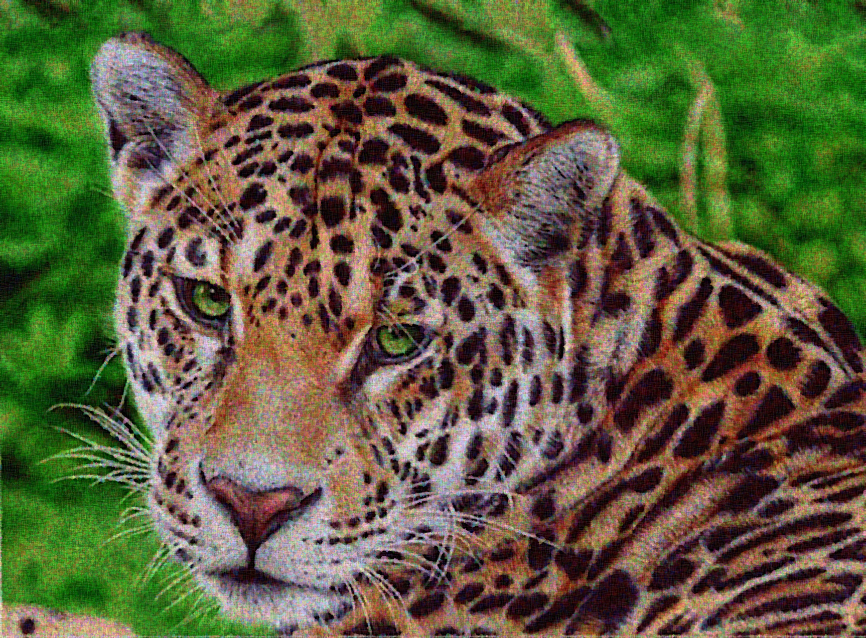jaguar__ballpoint_Graphic_Sponge_Effect_Q2.jpg