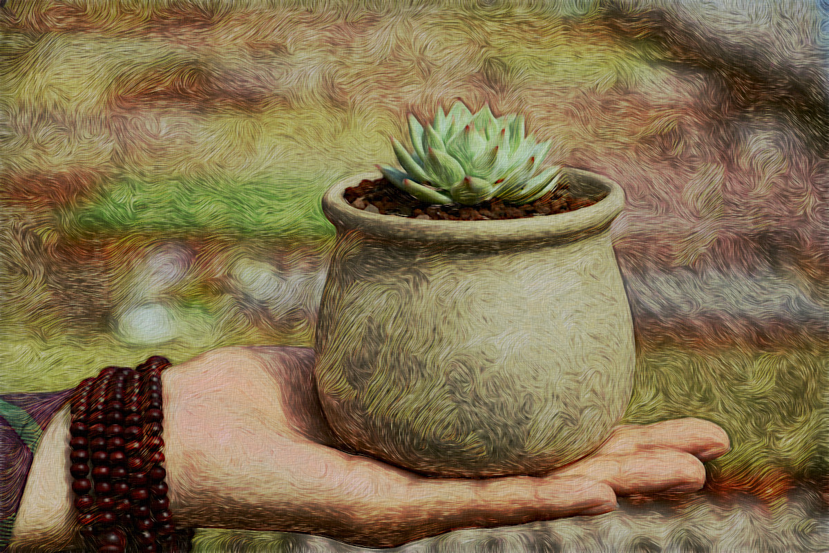 Jvid.R2.Cactus.jpg