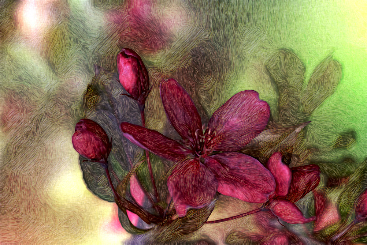 Jvid.R2.Flowers_purple.jpg