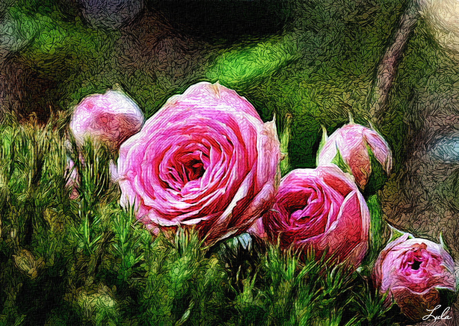 roses.JVID.S.jpg