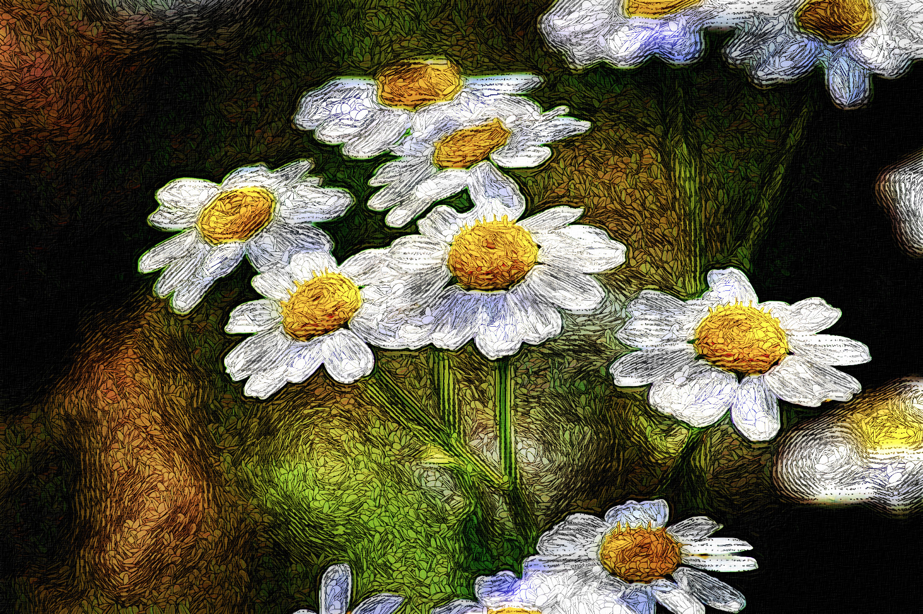 feverfew-4743930_Graphic_Fantasy_Effect_Jvid_S.jpg