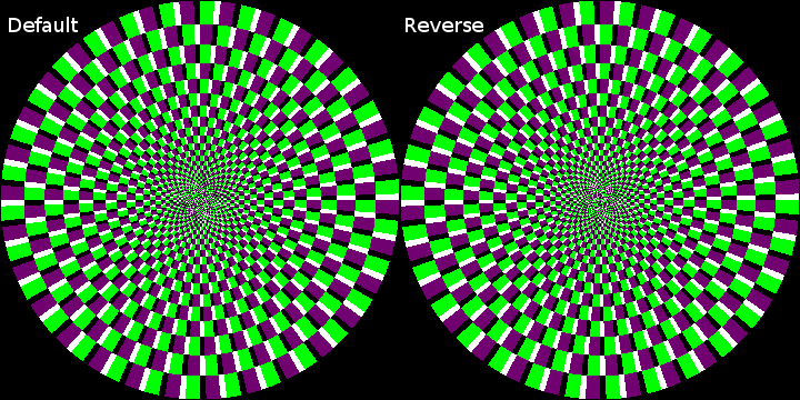 Spin-Illusion-exp-01-gc.png