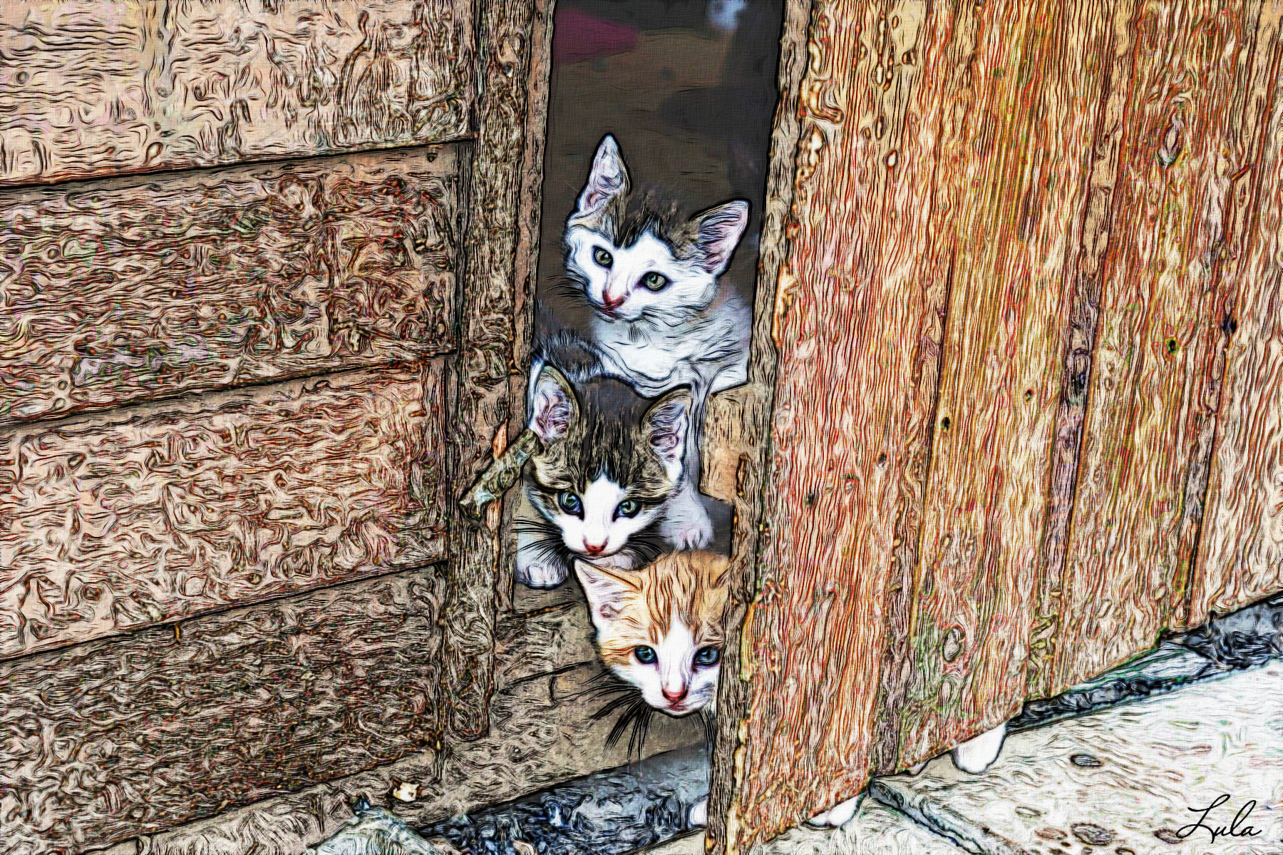 trioChats.JVID.V.jpg
