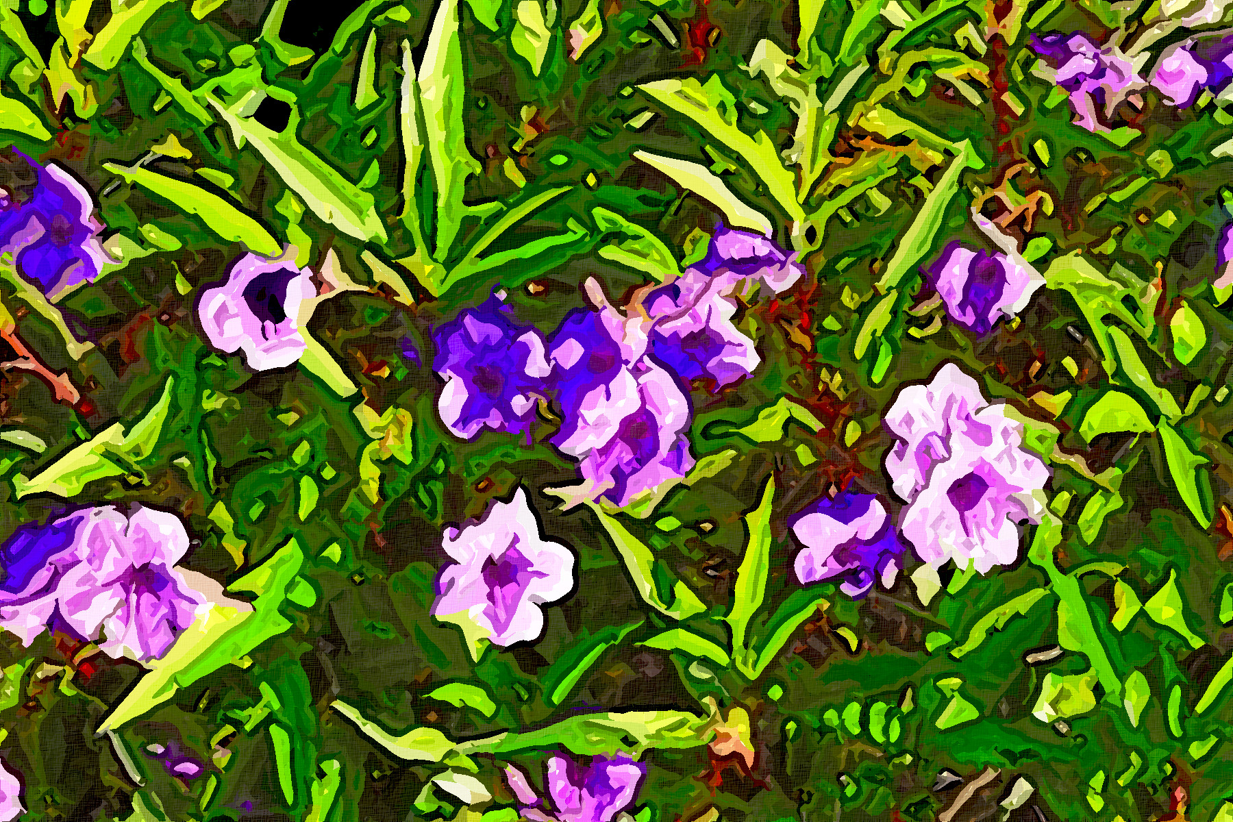 mexican-petunia-patch-1641415-Graphic_Effect_Illustration_Jvid_X.jpg