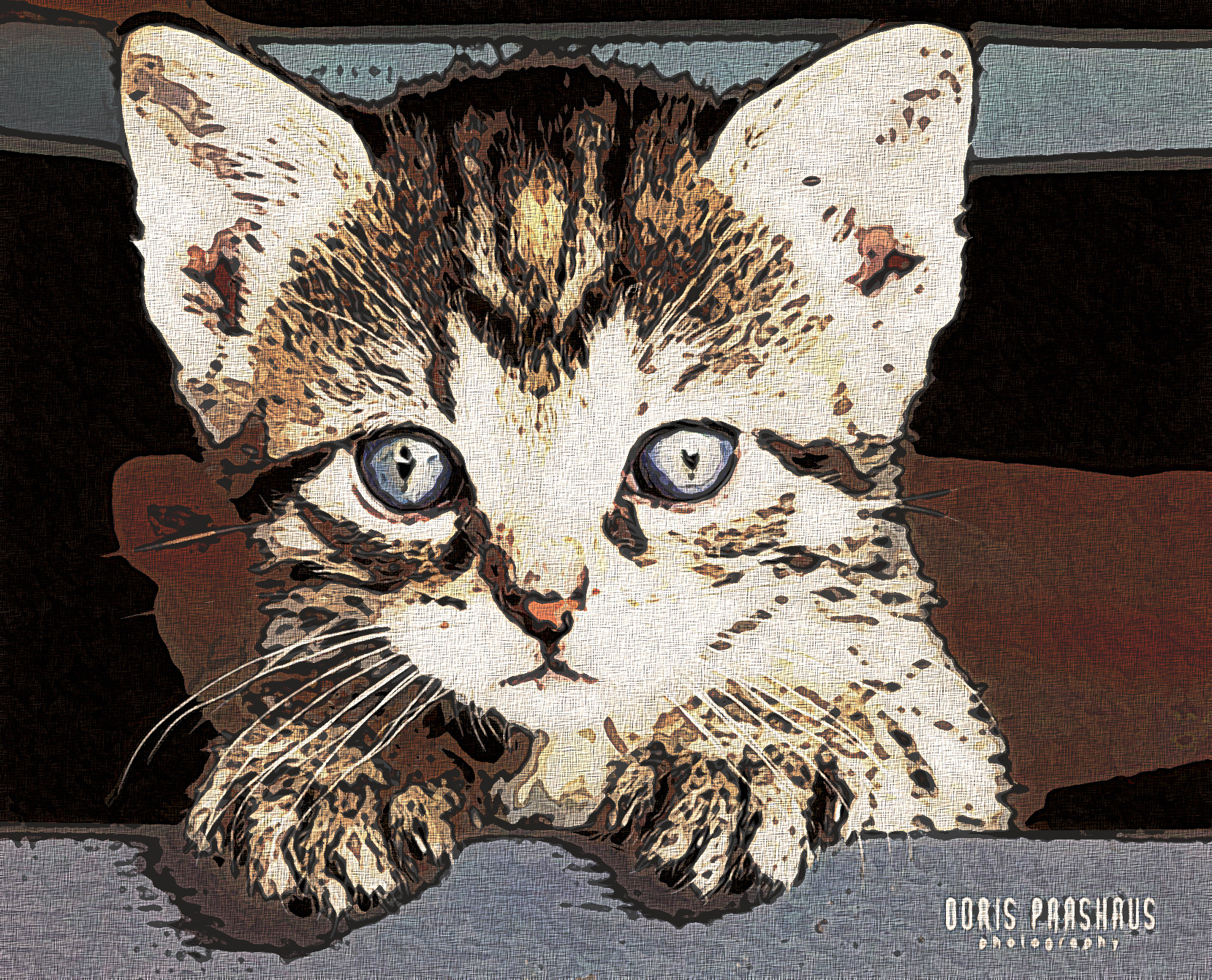 dcdjhre-7c71dc56-Graphic_Effect_Illustration_Jvid_X2.jpg