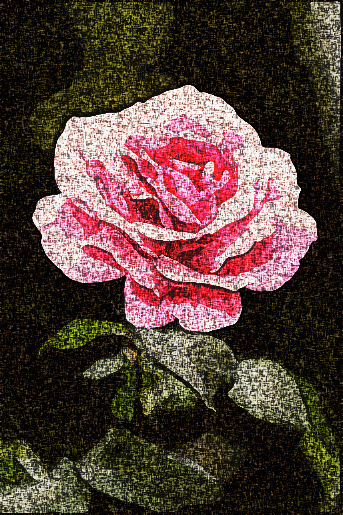 Rose_Rose-Graphic_Effect_Illustration_Jvid_X2b.jpg