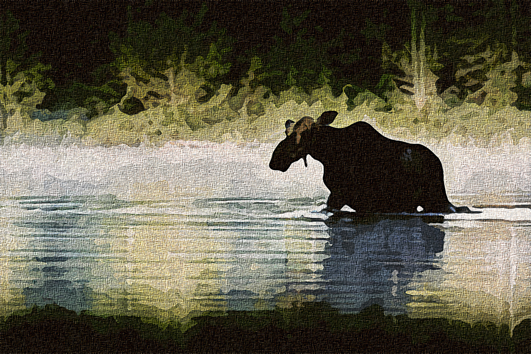 moose-1209665-Graphic_Effect_Illustration_Jvid_X2b.jpg