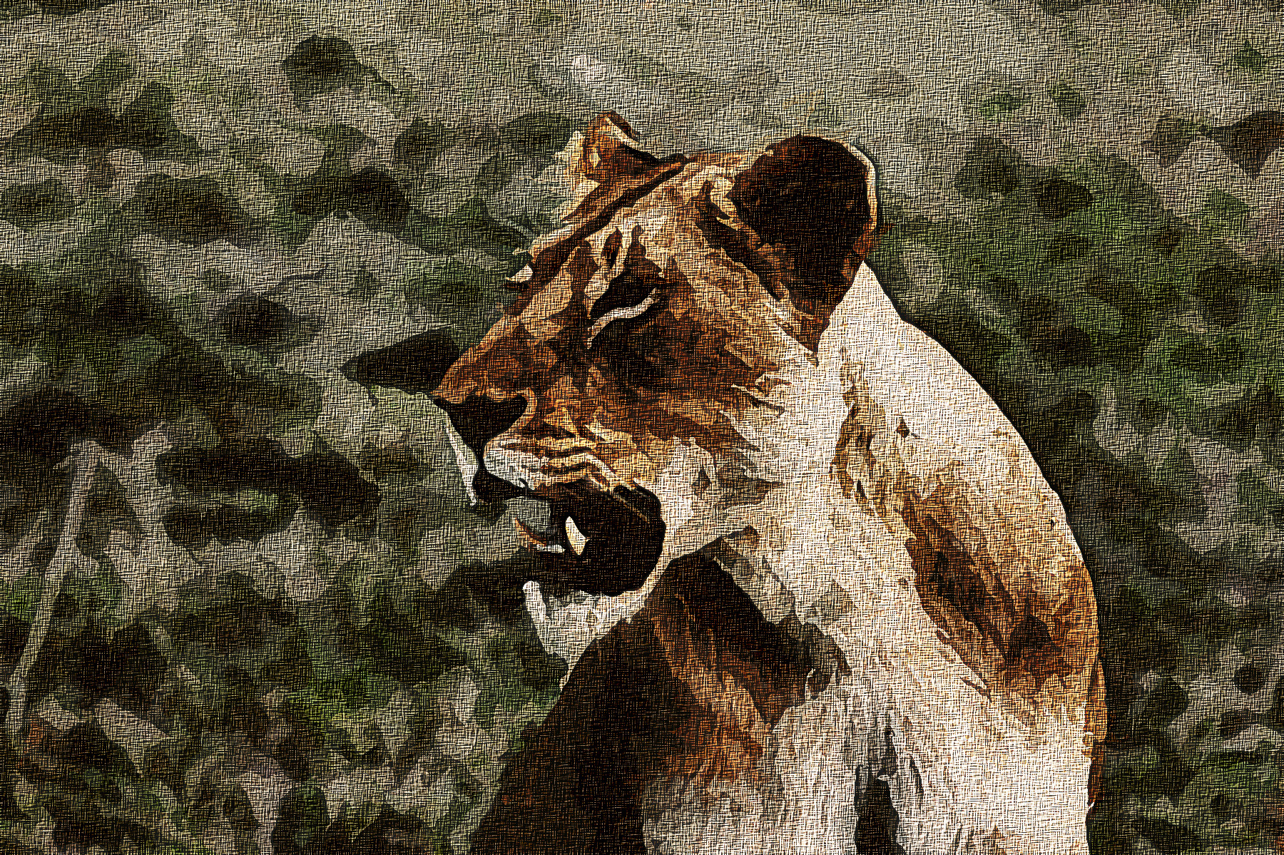 lioness-1149950-Graphic_Effect_Illustration_Jvid_X2b.jpg