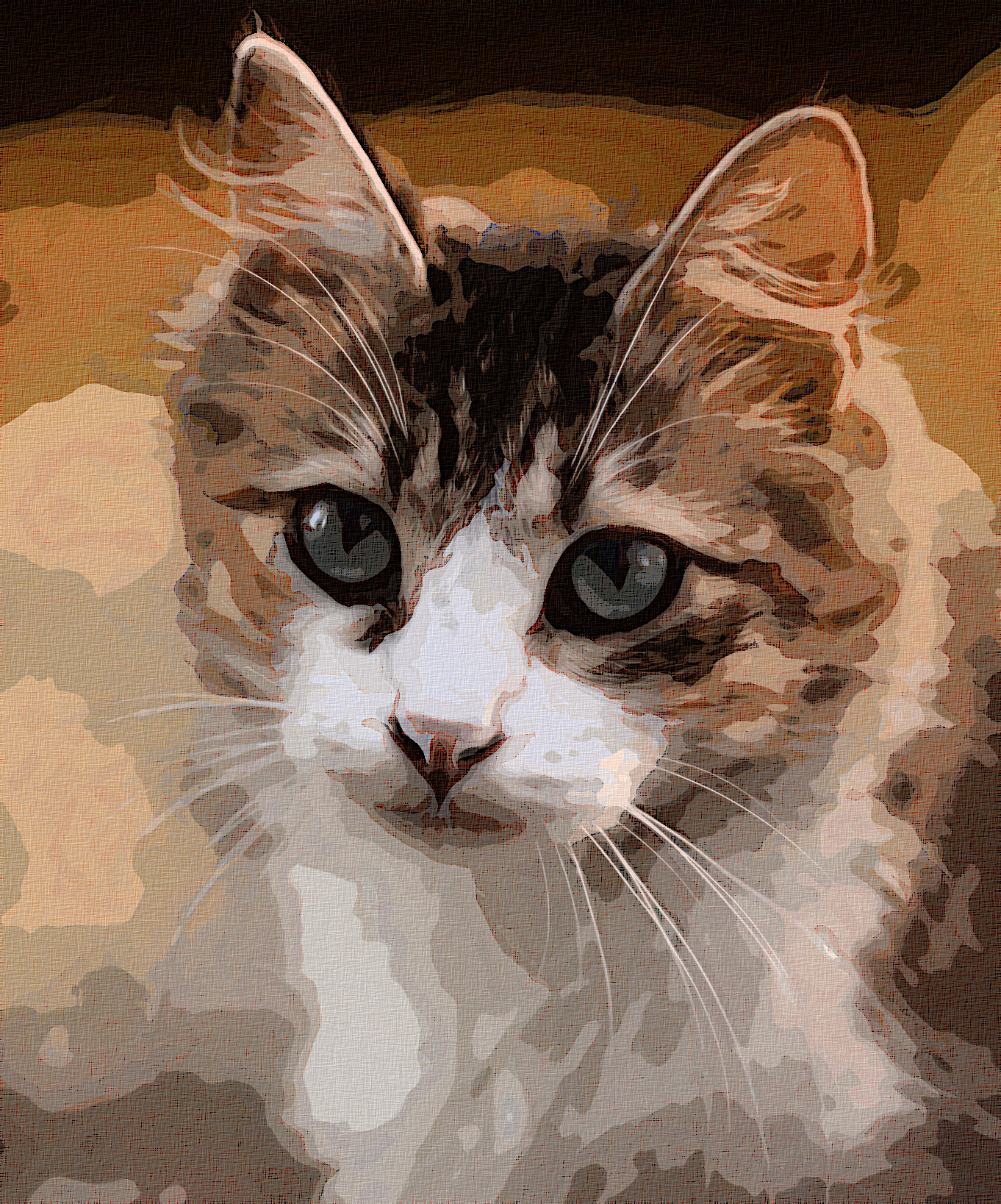cat-3336579_Graphic_Effect_Illustration_Jvid_X2D.jpg