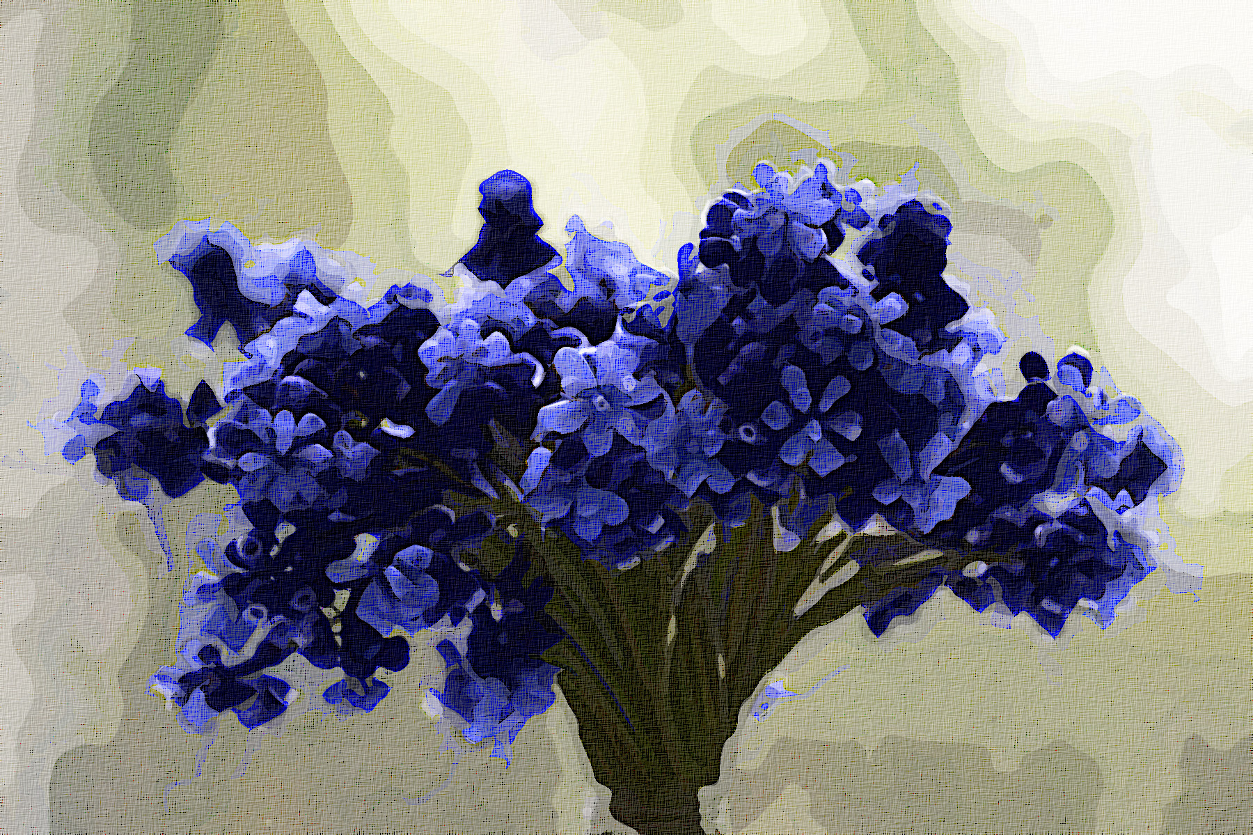 flowers-3453729_Graphic_Effect_Illustration_Jvid_X2D.jpg