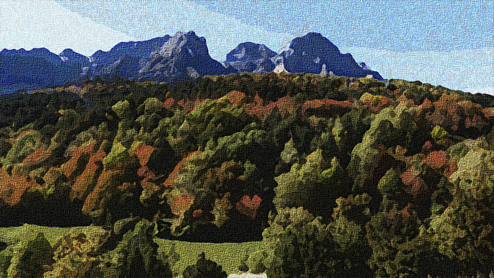 Betato_Hayedo_Valle_Tena_Graphic_Effect_Illustration_Jvid_X2D.jpg