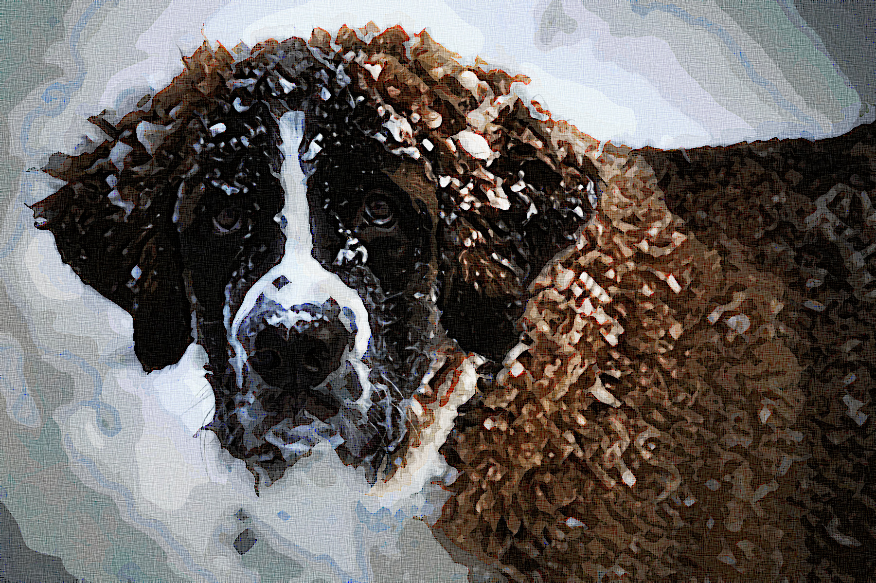 dog-1168663_Graphic_Effect_Illustration_Jvid_X2D.jpg