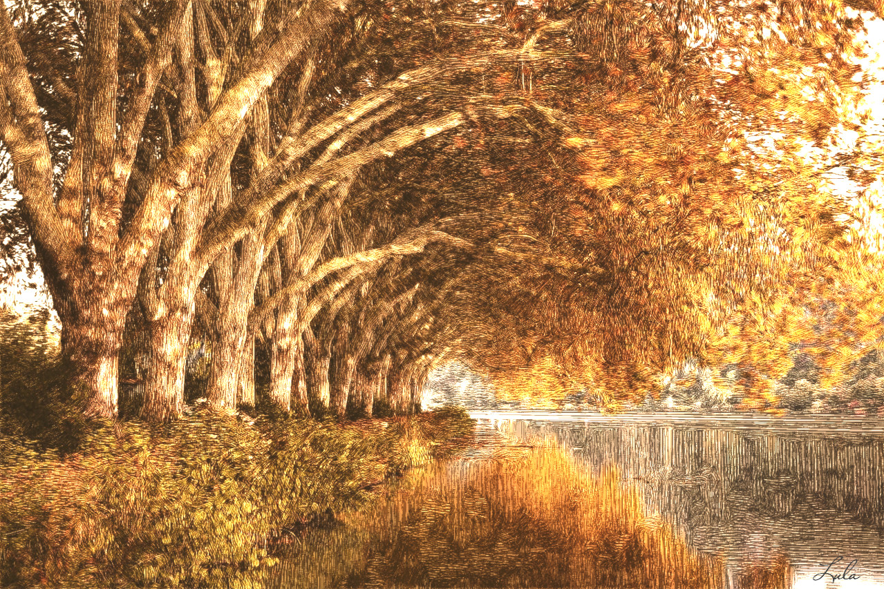 Autumn.DrawD.PaperAnticWhite.multiply75%.jpg