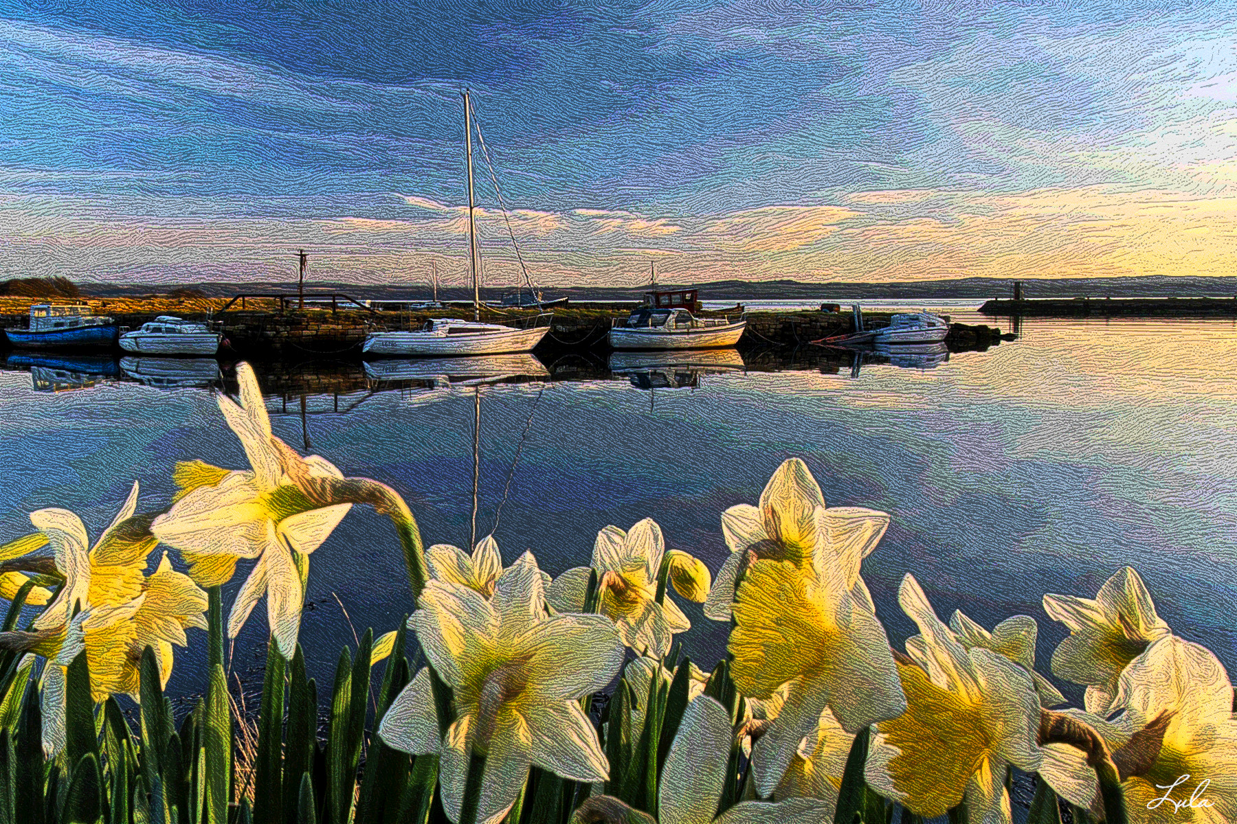 narcisses.Bateaux.jpg