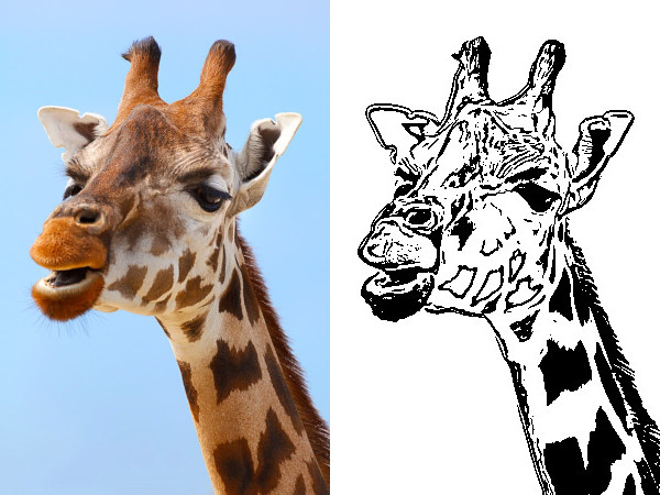 giraffe_photo_small_lineArt2.jpg