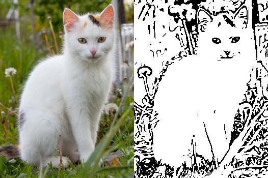 kitten_white_sitting_small_lineArt2.jpg