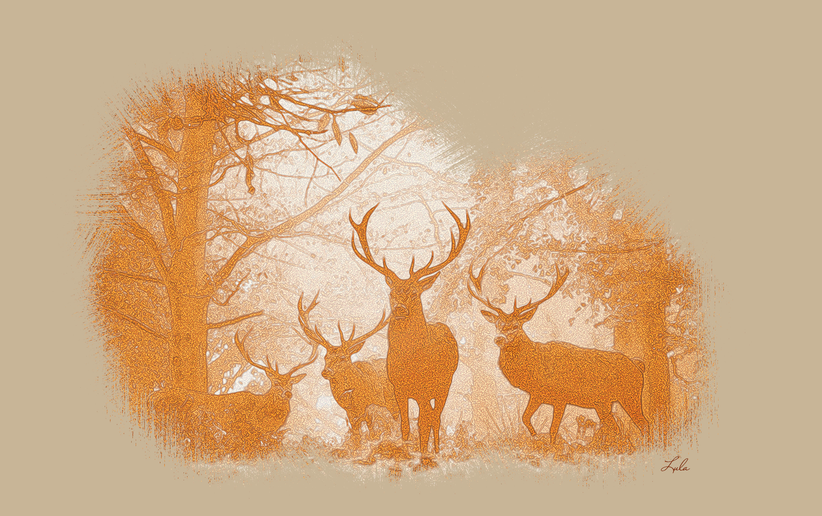 Cerfs.DN.Draw Sanguigna.jpg